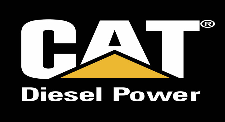 cat-diesel